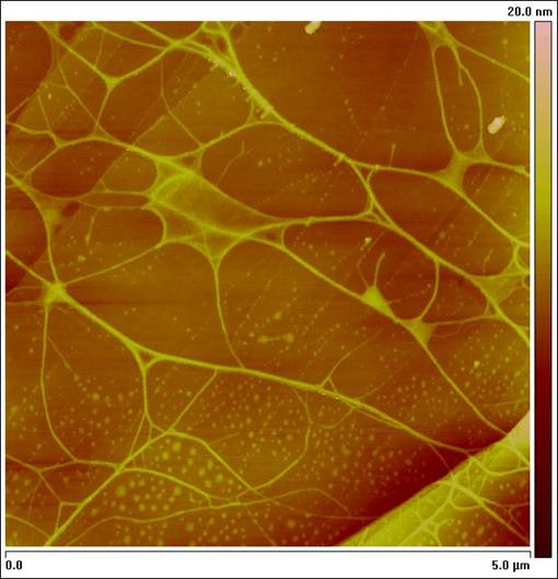 Picture: LiMo 3Se 3 &ldquo;neuronal&rdquo; nanowire network