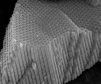 Picture: SEM image