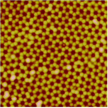Picture: An AFM image