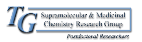 The TG Supramolecular and Medicinal Research Group - Postdoctoral Researchers